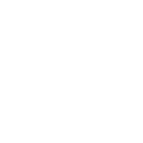 icon-5-star