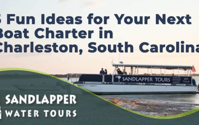 5 Fun Ideas for Your Next Boat Charter in Charleston, South Carolina. Sandlapper Water Tours Blog