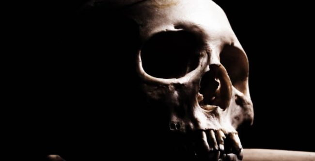 ghost3 Skull. Charleston ghost tours drinking