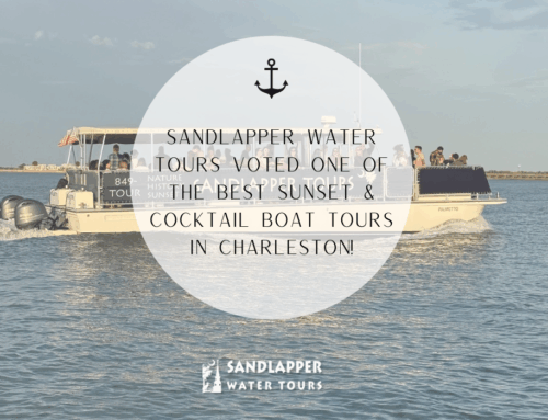 Sandlapper Water Tours Voted One of the Best Sunset & Cocktail Boat Tours in Charleston
