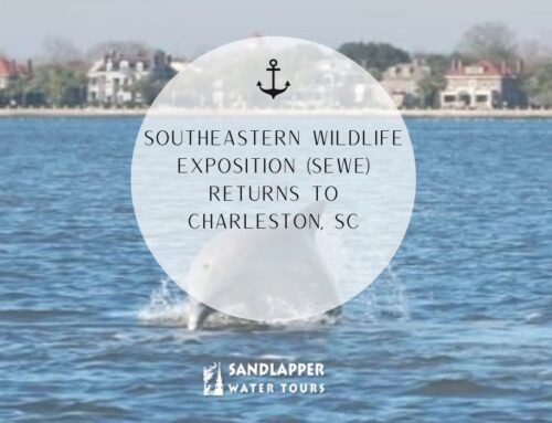 Southeastern Wildlife Exposition (SEWE) Returns to Charleston, SC