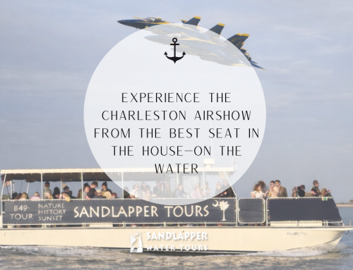 Experience the Charleston Airshow from the Best Seat in the House