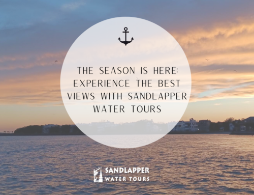 The Season Is Here: Experience the Best Views with Sandlapper Water Tours